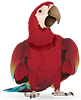 Parrot Mascot